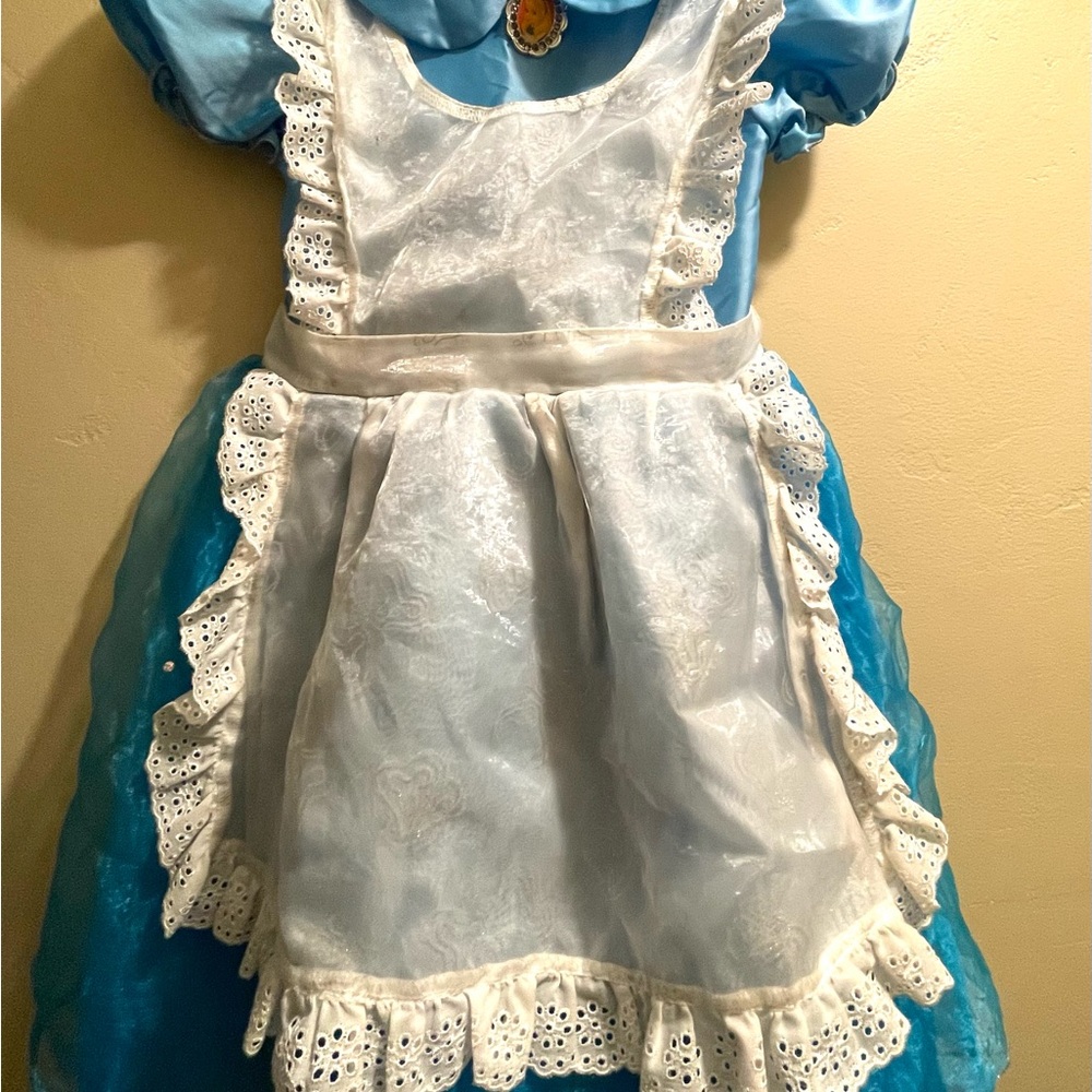 Disney Alice Costume size 5/6